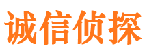 灵川婚外情调查